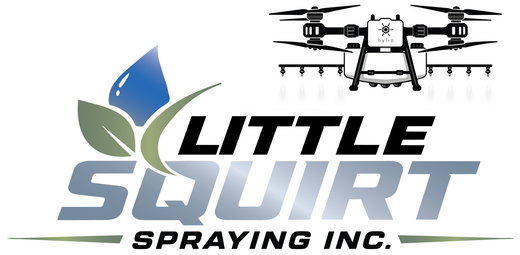 Little Squirt Spraying Logo