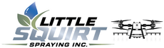 Little Squirt Spraying Logo