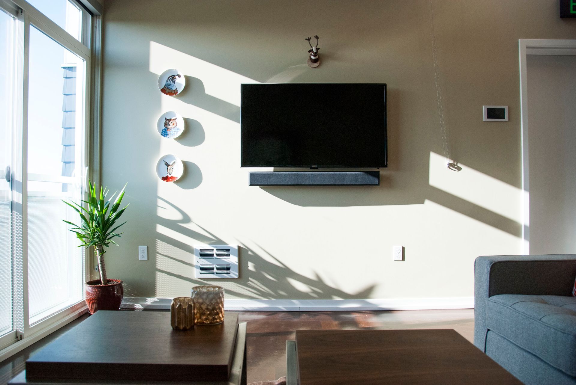 Bright living room with wall-mounted TV, sunlight, couch, coffee table, and potted plant.