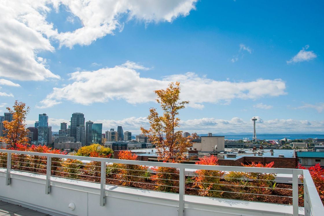 City skyline beyond autumn foliage and a waterfront railing under a bright blue sky