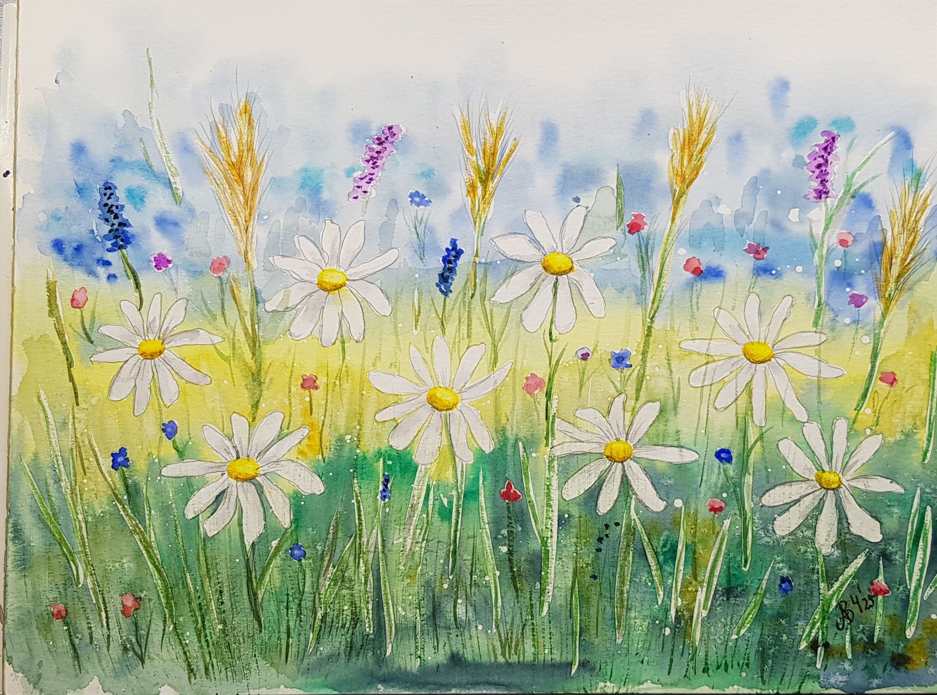 Sommerwiese