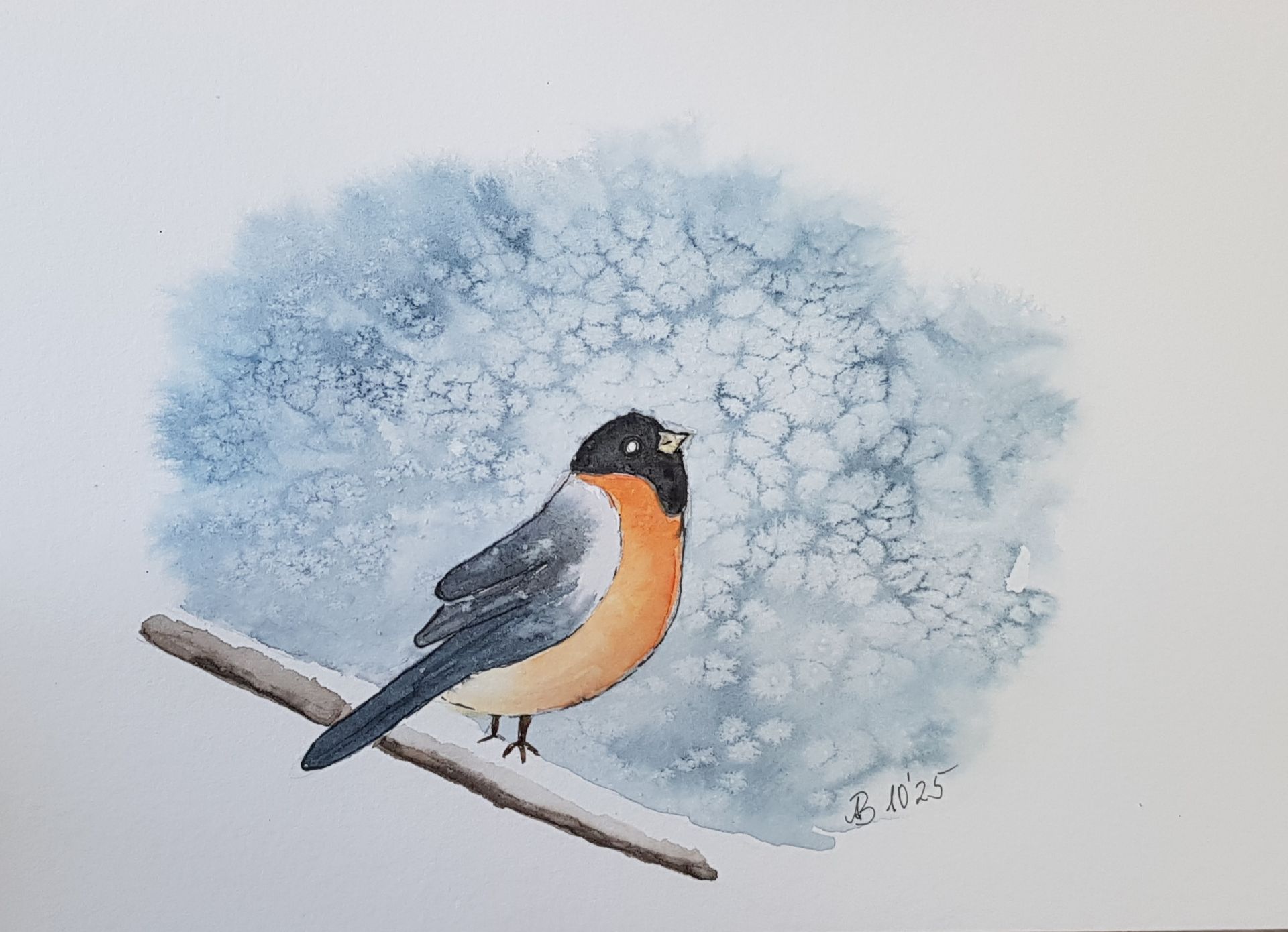 Wintervogel