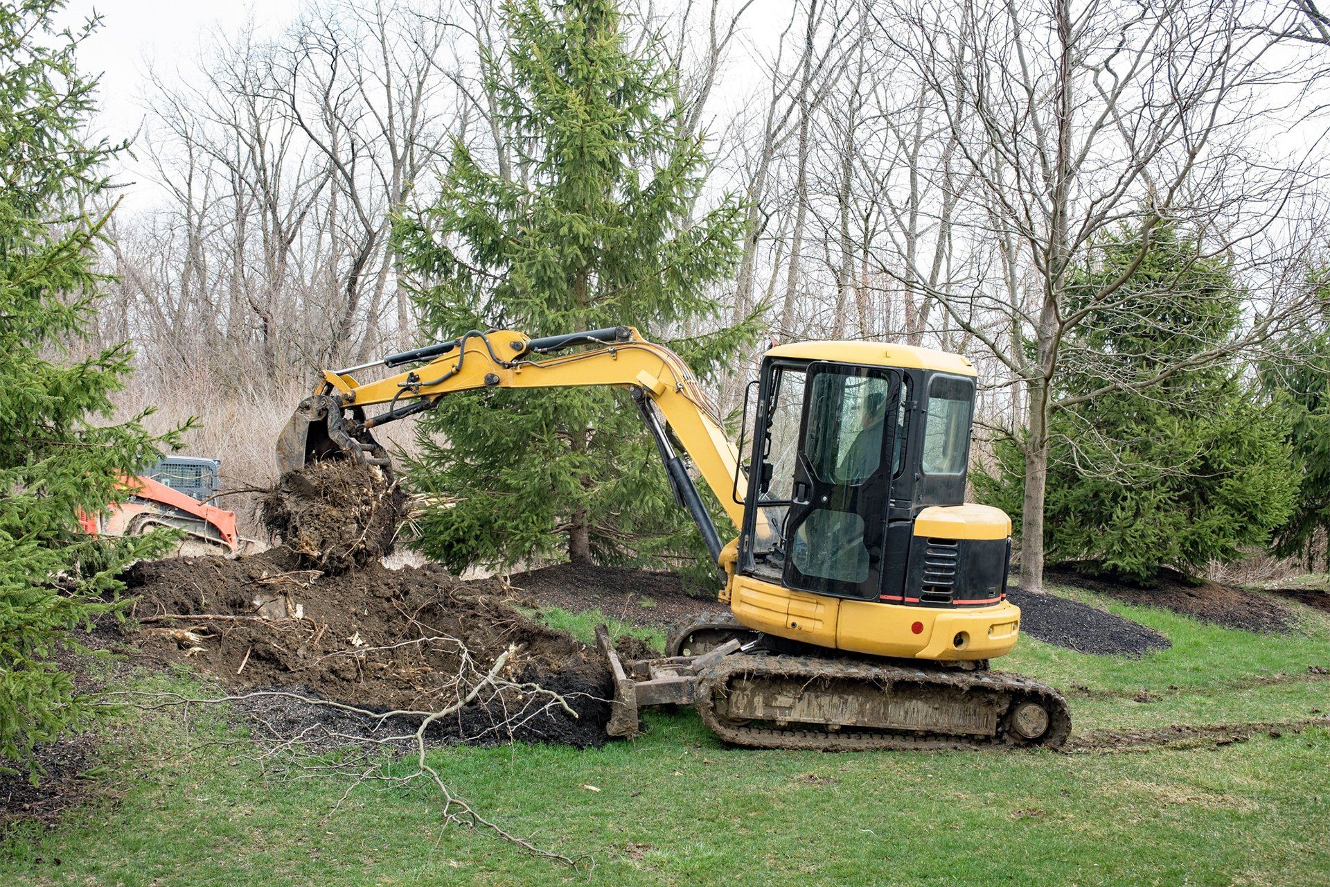 Emergency Tree Removal
