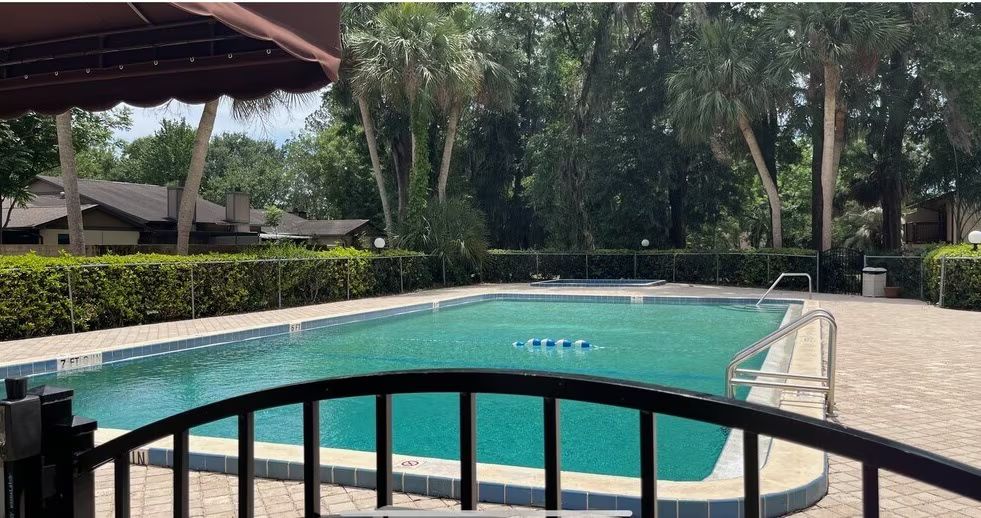 Swimming pool surrounded by hedges and trees; brown awning overhead, view through a black fence.