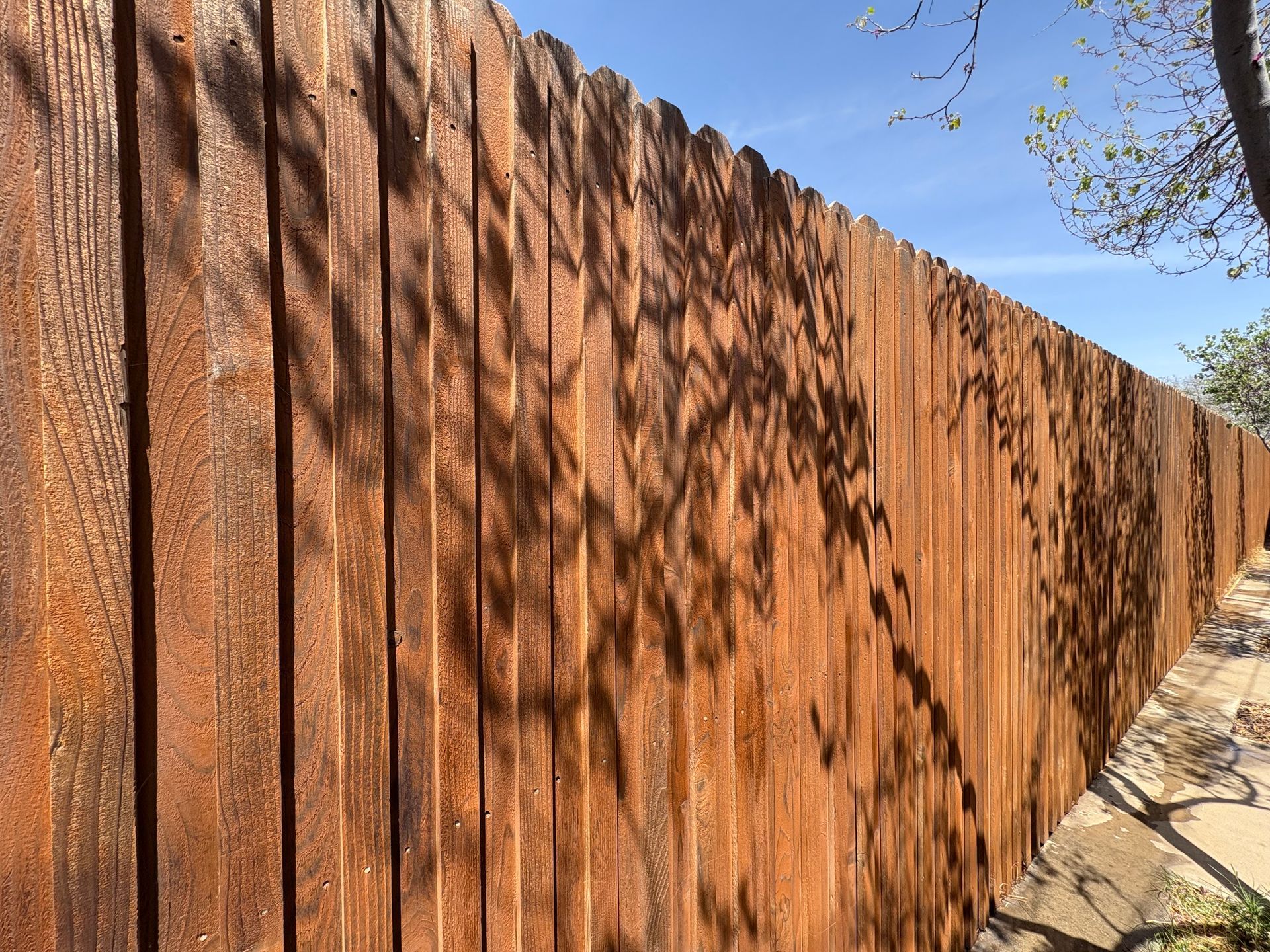 Wooden fence with tree shadows under a blue sky.