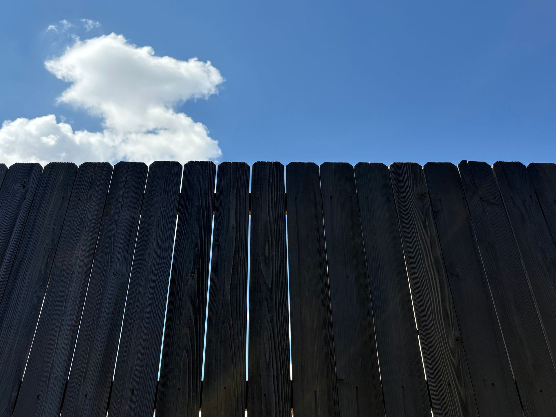 Black wooden fence against a bright blue sky with a white cloud.