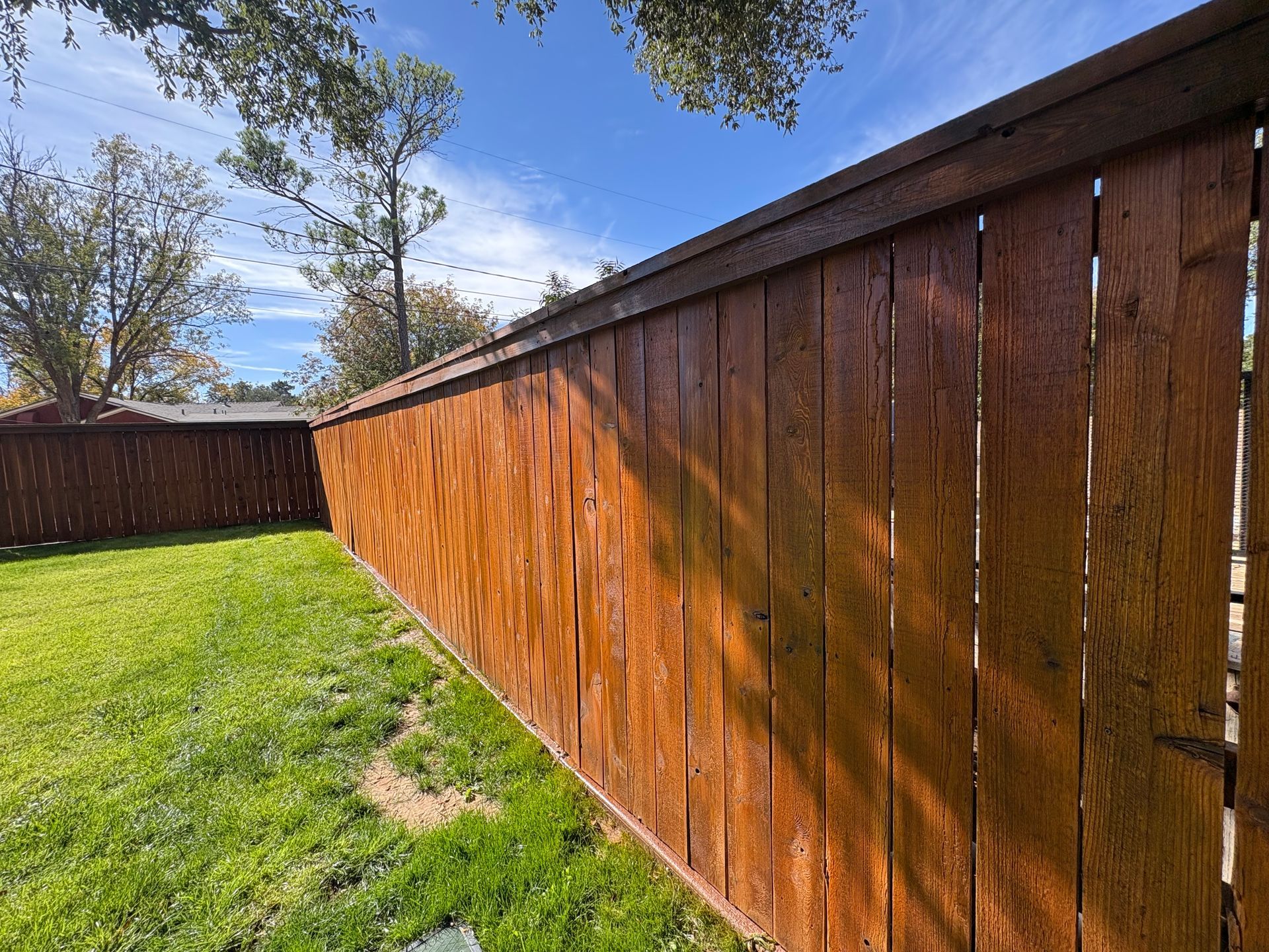 Wooden fence in a backyard with green grass under a bright blue sky.