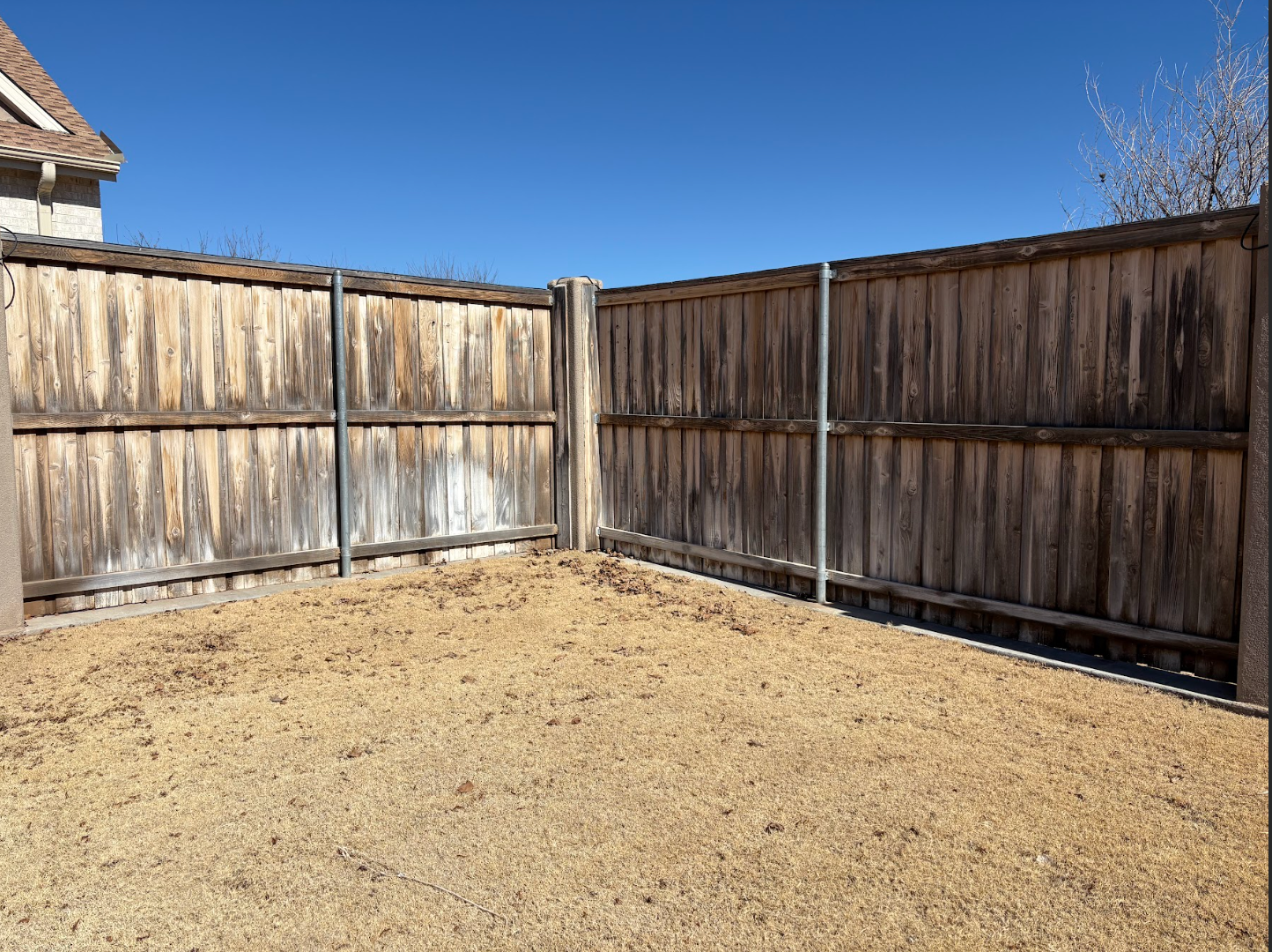 A wooden backyard fence forms a corner against a clear blue sky, overlooking a patch of dry, dormant grass.