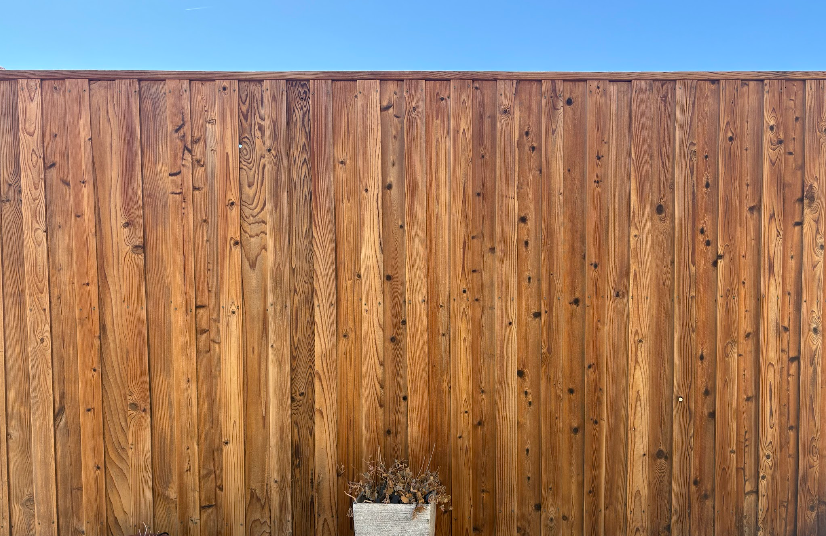 A wooden privacy fence made of vertical brown planks against a clear blue sky, with a small potted plant at the base.