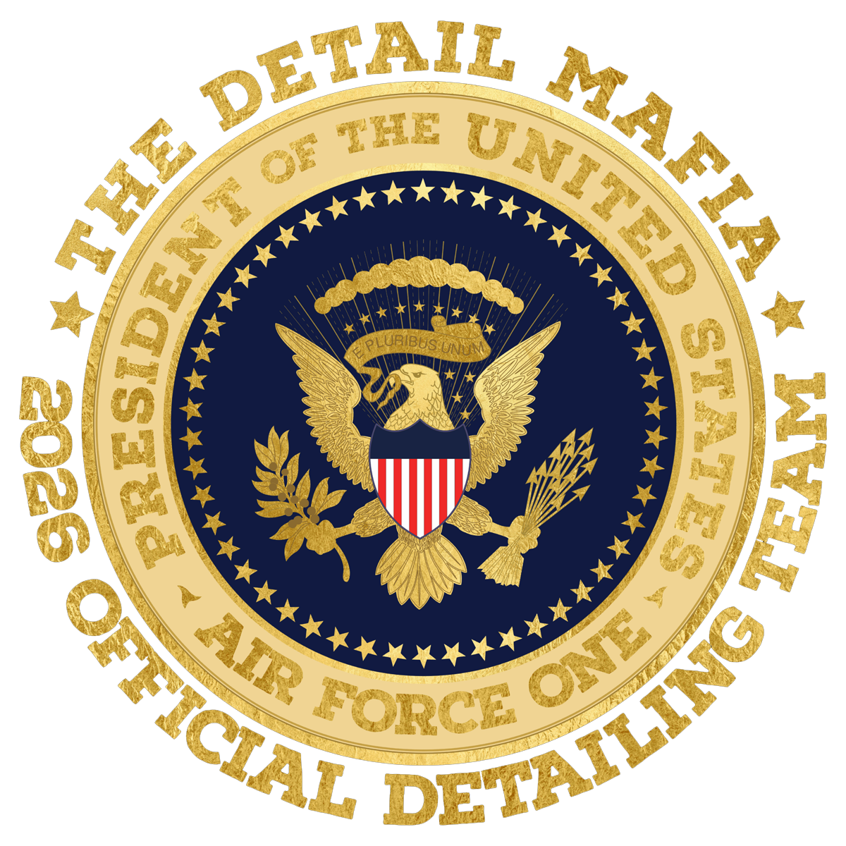 Air Force One selected detailing team logo