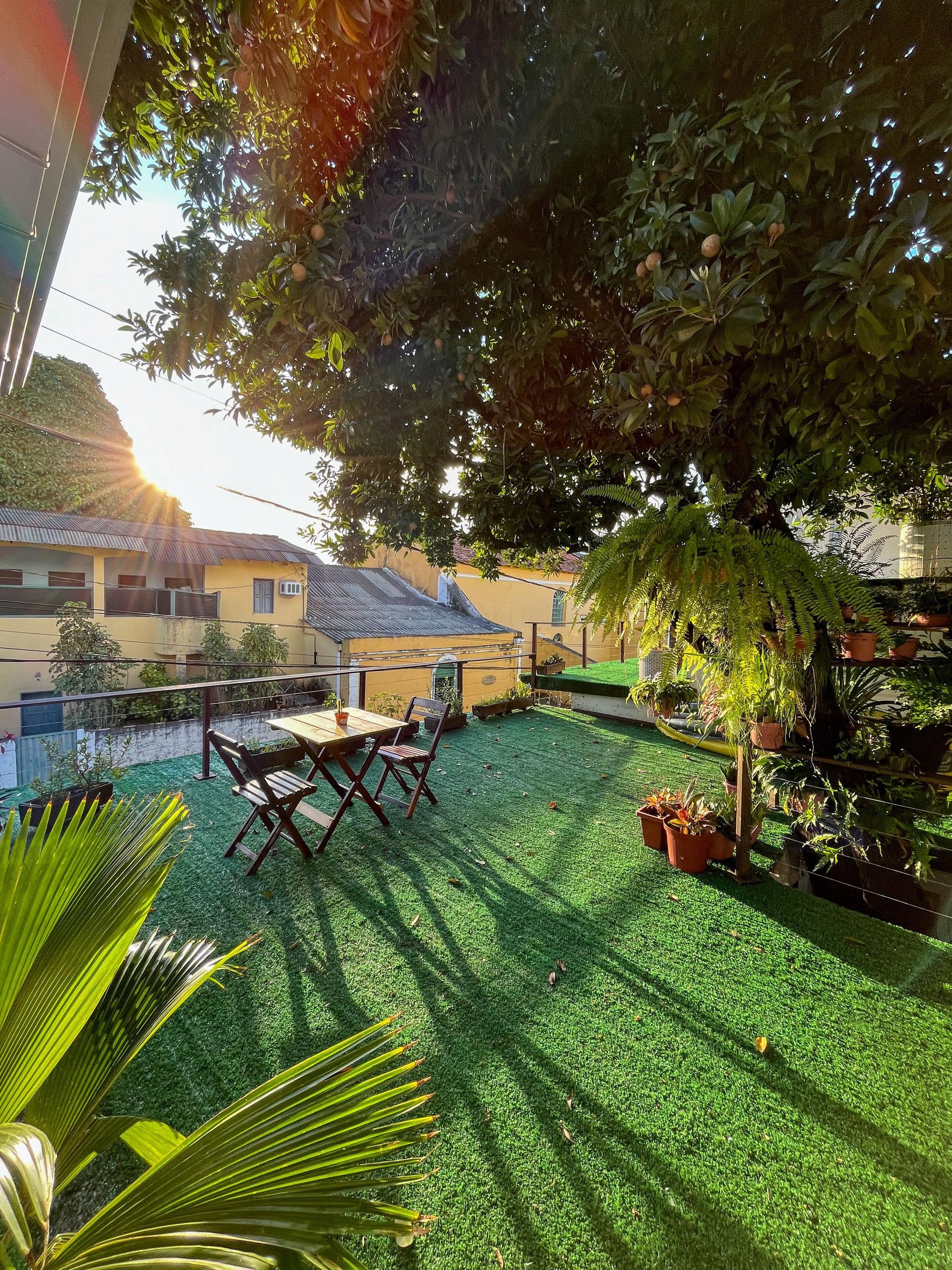 Um jardim com uma mesa e cadeiras debaixo de uma árvore.