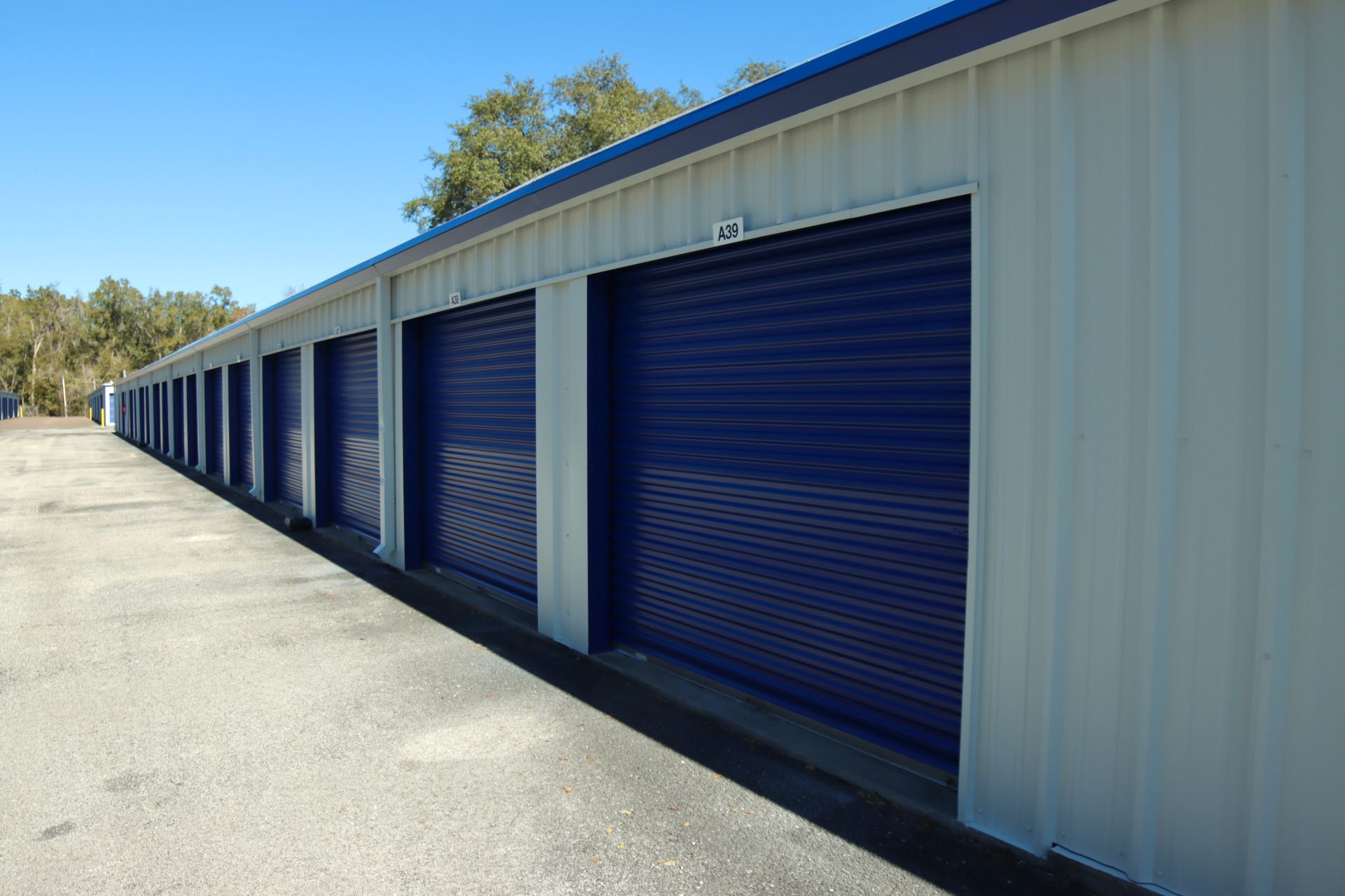 Row of blue storage unit doors in a white metal building, under a blue sky.