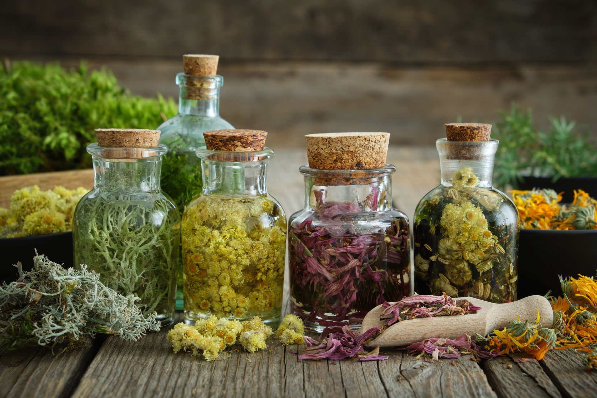 Ein Holztisch mit Flaschen voller Kräuter und Blumen darauf.
