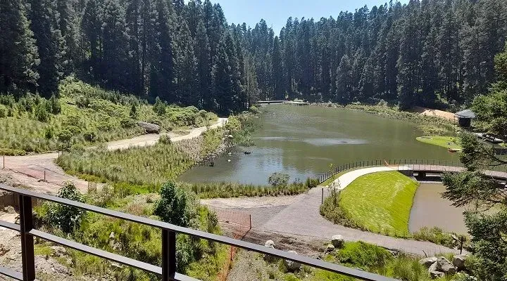 VIVEROS DEL RANCHO