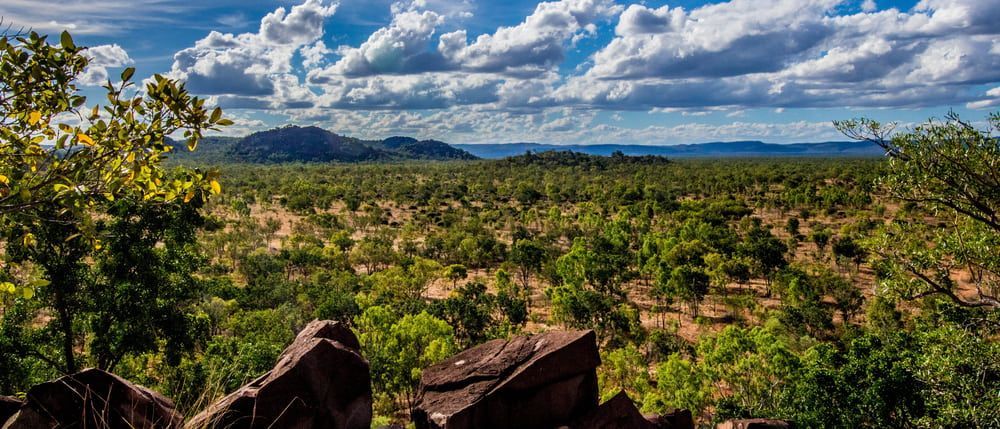 A View Of A Lush Green Landscape With Mountains In The Background — Cam Duffy Autos In Chillagoe, QLD