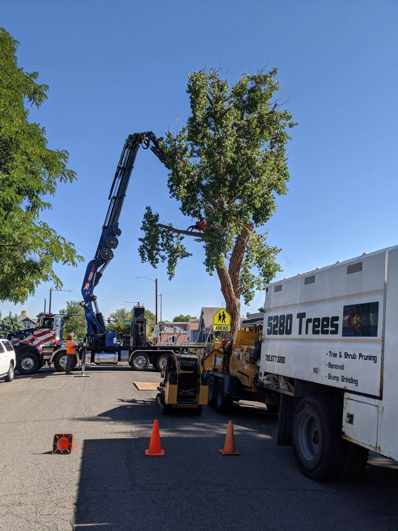 A tree is being removed from a truck that says good trees