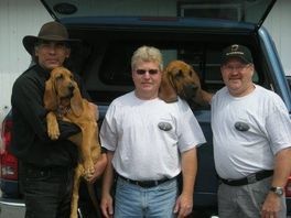 Three men are posing for a picture with their dogs in the back of a truck.