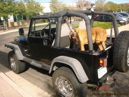A dog is sitting in the back of a black jeep