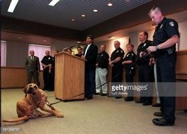 HONORING DOG