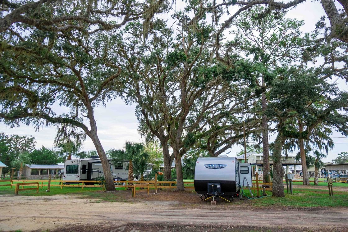 RVs parked under large trees in a quiet campground with picnic tables and a dirt lot