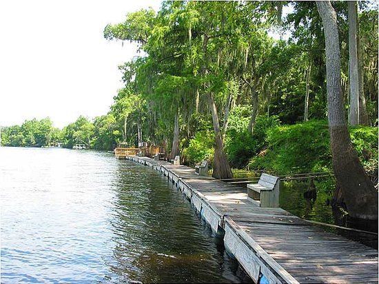 Shaded lakeside boardwalk with trees, benches, and calm water along the shore