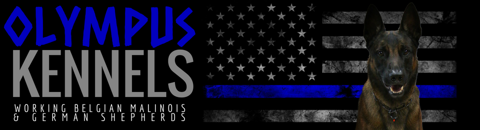 Olympus Kennels logo with blue text, black German shepherd, and faded American flag background
