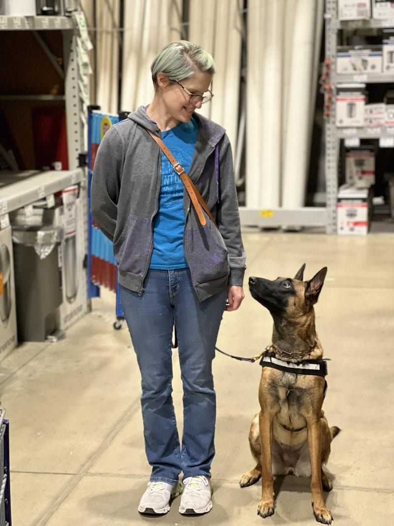 Person stands with a seated German shepherd in a store aisle, both looking at each other.