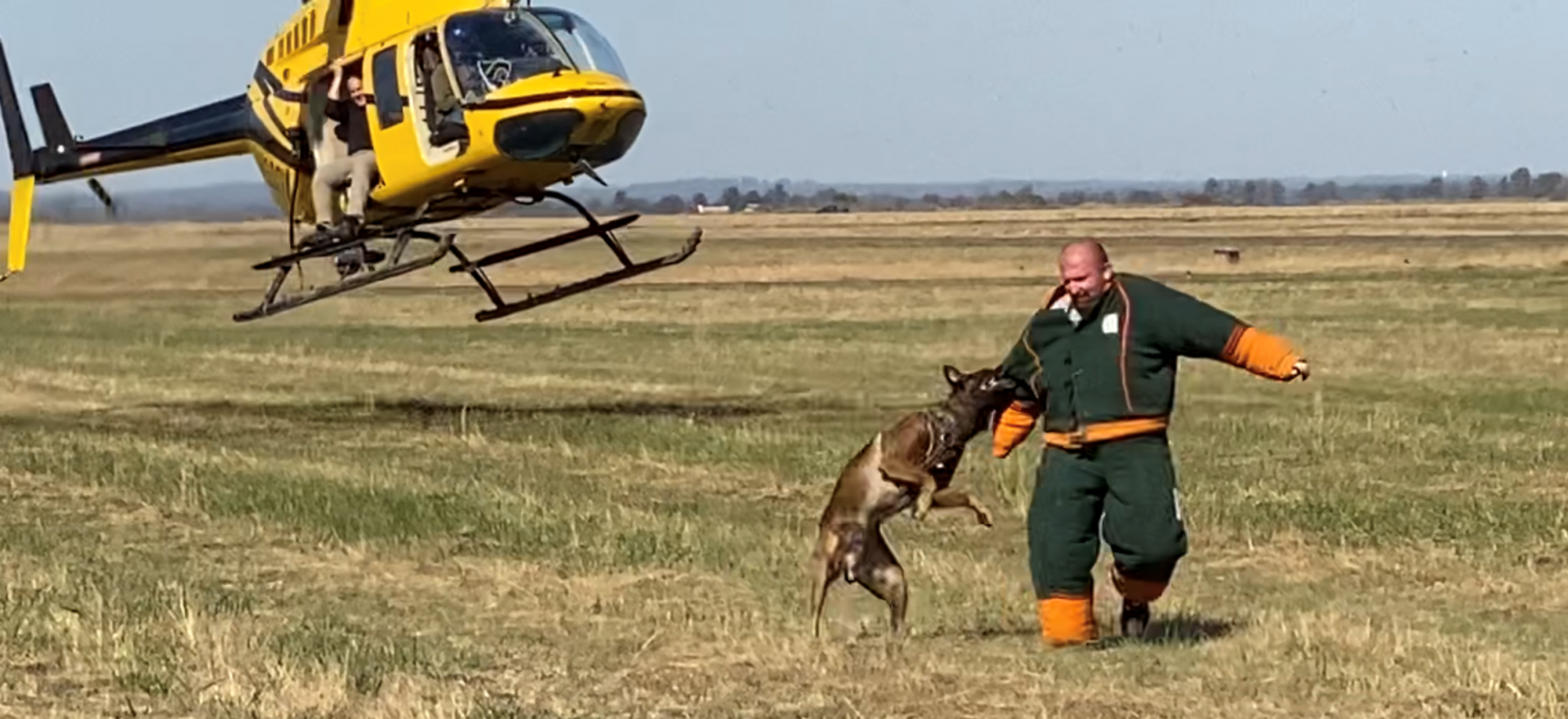 Yellow rescue helicopter hovering near a handler in green gear with a working dog in an open field