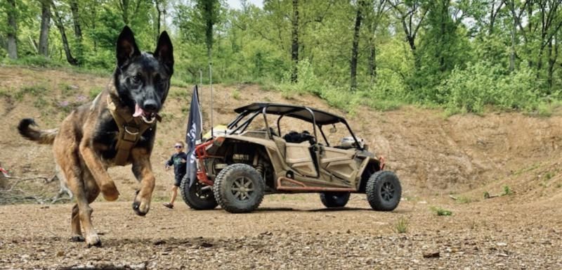 Black-and-tan dog running toward a beige off-road buggy on a dirt path in a wooded area