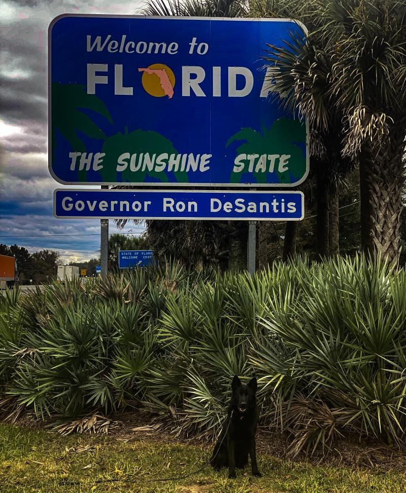 Welcome to Florida roadside sign with “The Sunshine State” and Governor Ron DeSantis
