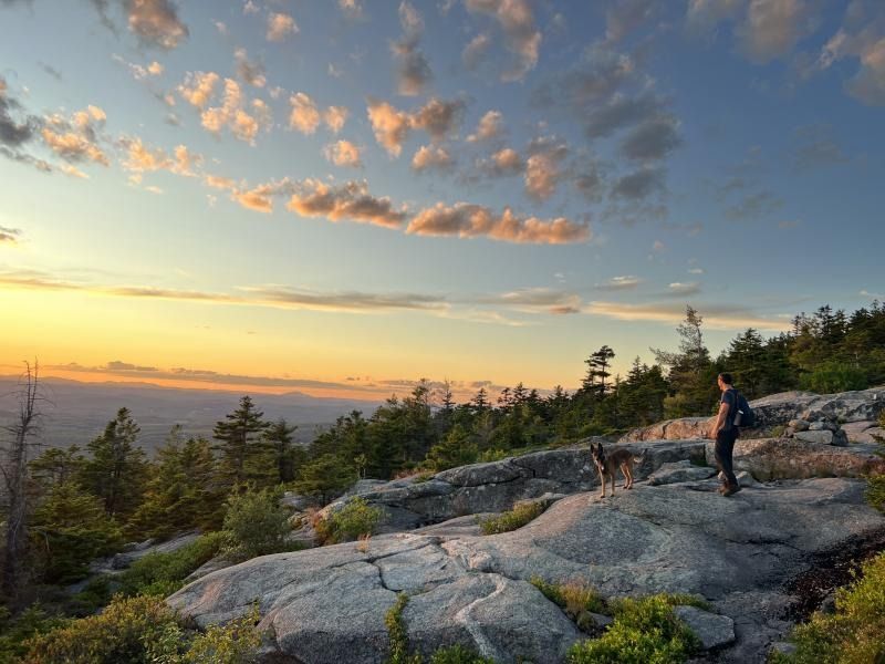 Sunset over rocky cliff with a man hiker and a dog with trees around under scattered clouds