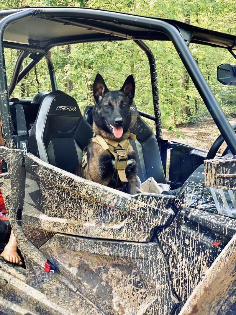 Mud-covered off-road vehicle with a black dog sitting in the passenger seat, tongue out.