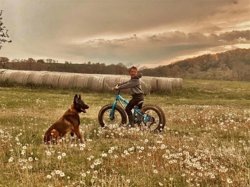 Child on a blue bike faces a sitting brown dog in a grassy field with hay bales under a cloudy sky