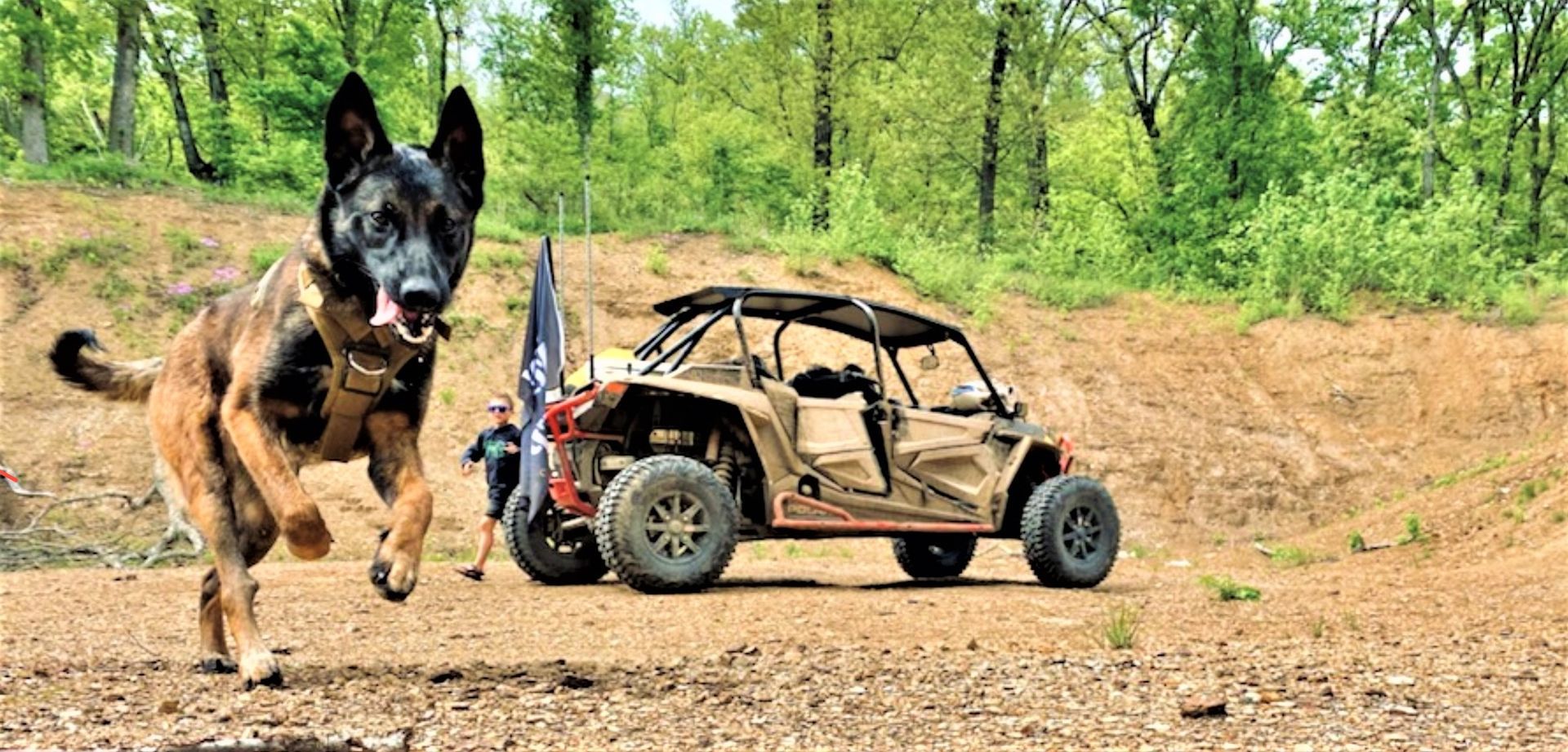 German shepherd running beside a beige off-road buggy on a dirt trail in a green forest