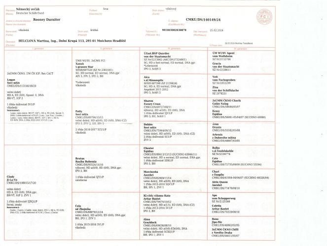 document form with logos, tables, and information concerning a dog pedigree