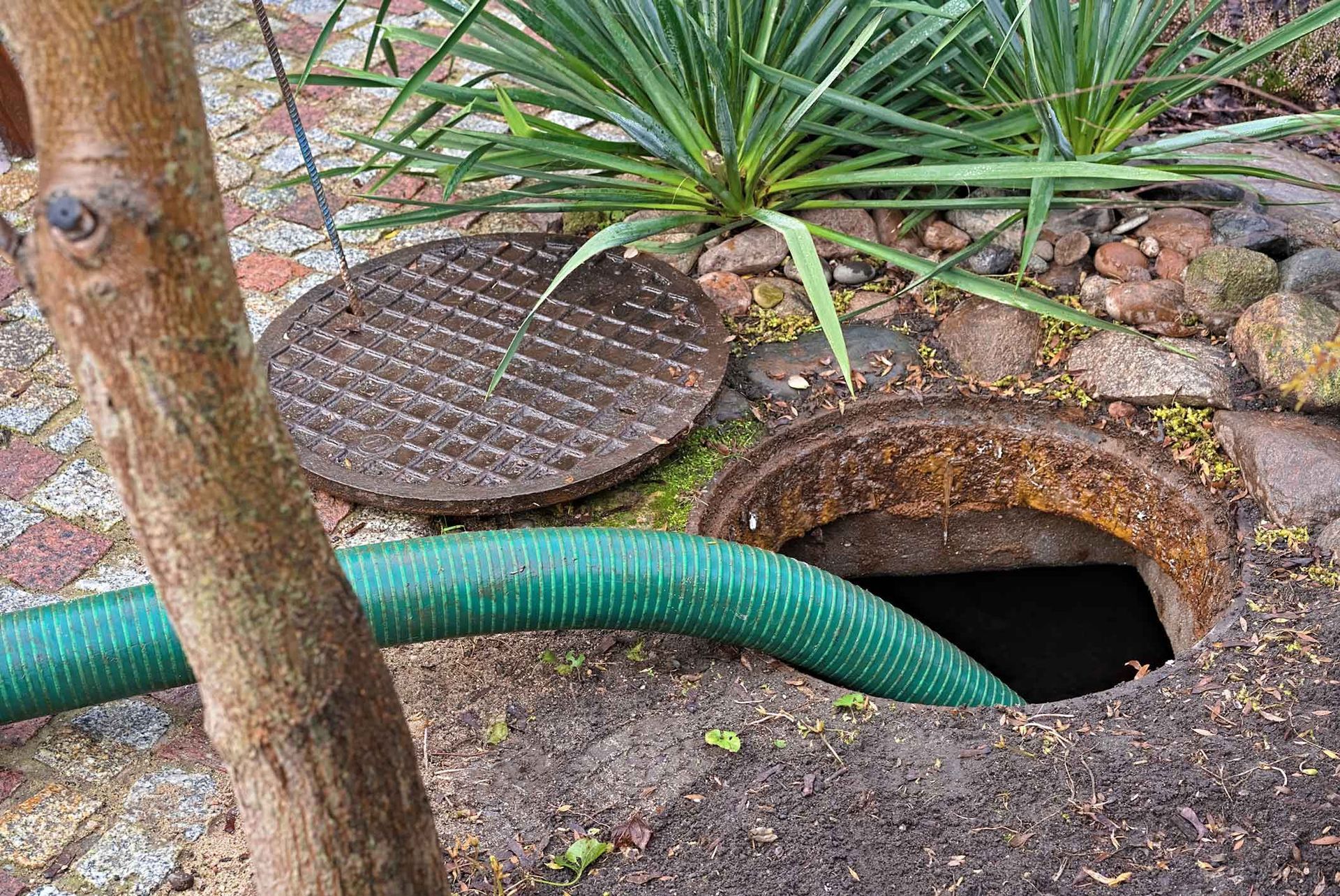 A green hose is coming out of a manhole cover.