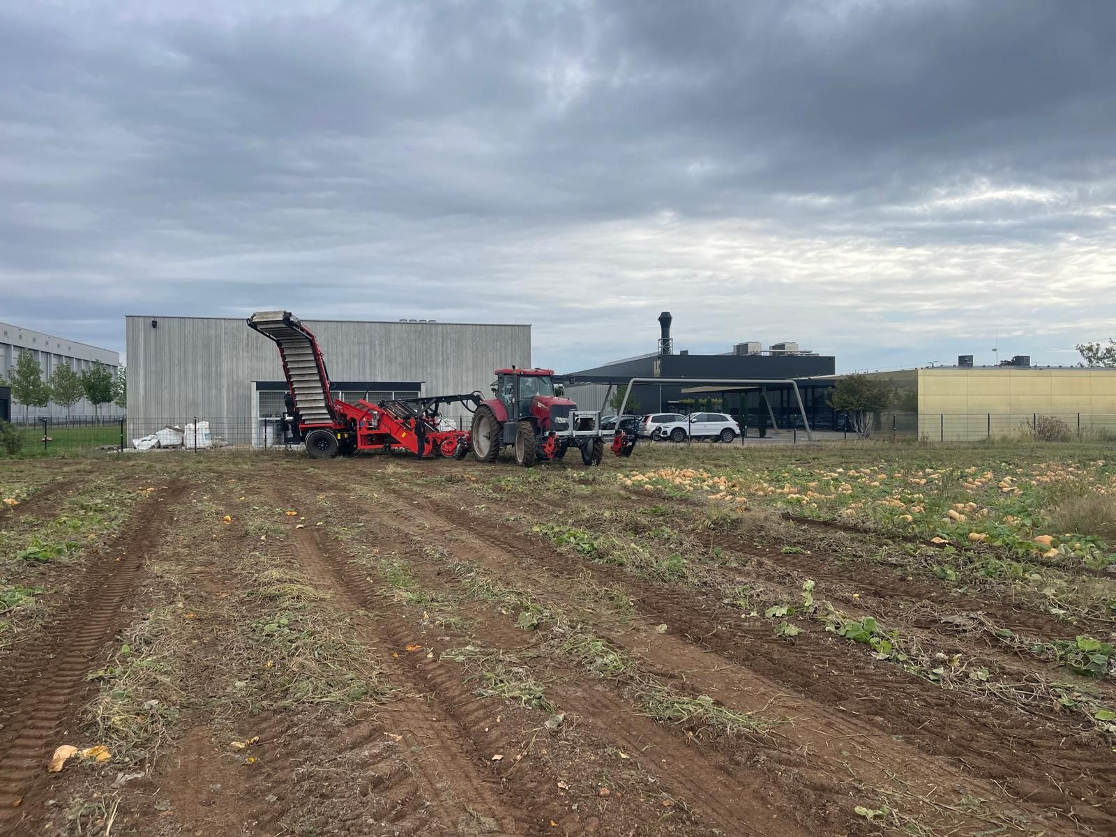 Hegro PH05 – Compacte getrokken pompoenoogstmachine met elevator