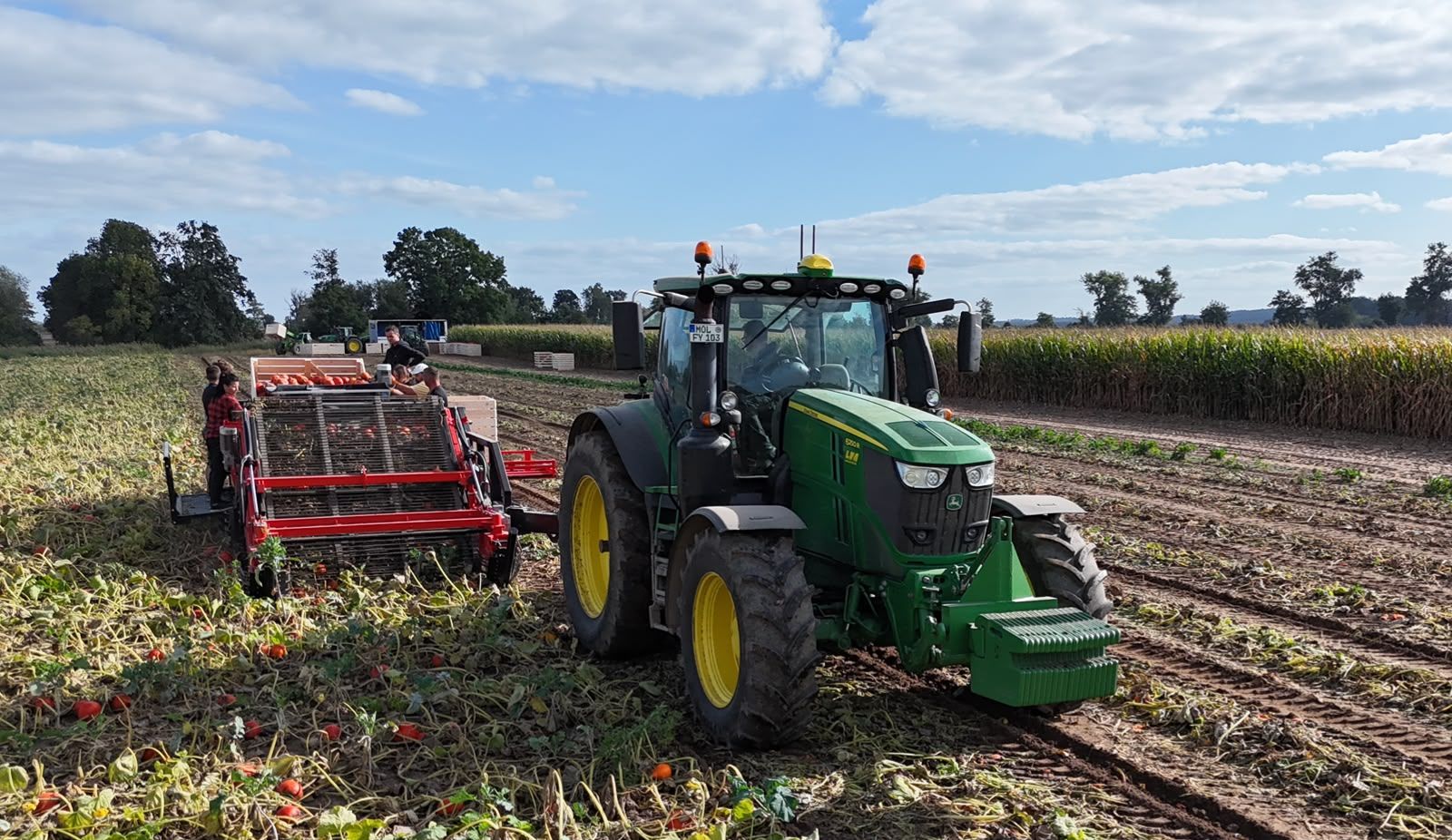 Hegro PH04 – Getrokken pompoenoogstmachine met handmatige selectie