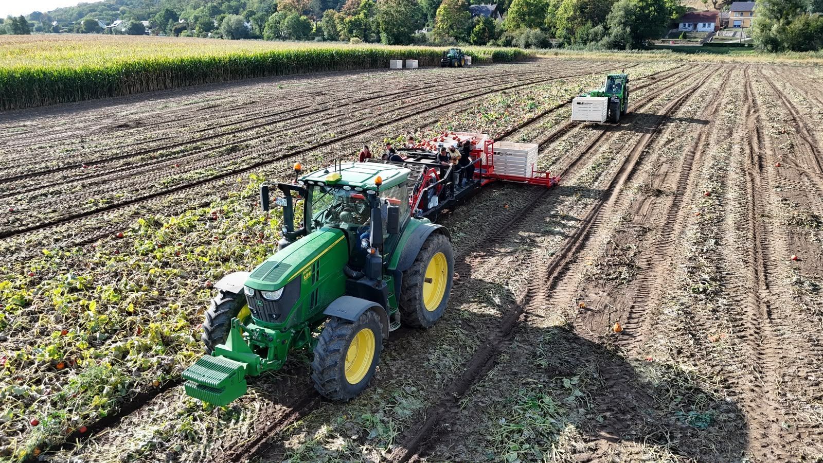 Hegro PH04 – Getrokken pompoenoogstmachine met handmatige selectie
