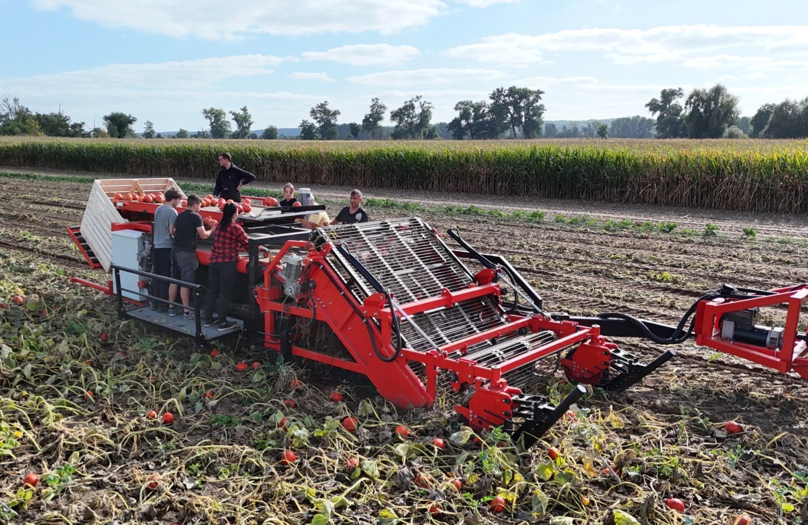 Hegro PH04 – Getrokken pompoenoogstmachine met handmatige selectie