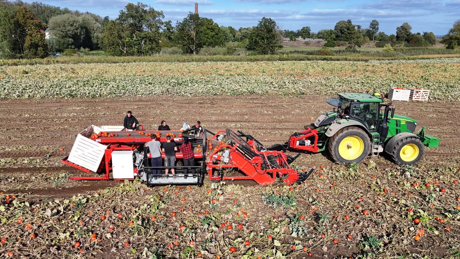 Hegro PH04 – Getrokken pompoenoogstmachine met handmatige selectie