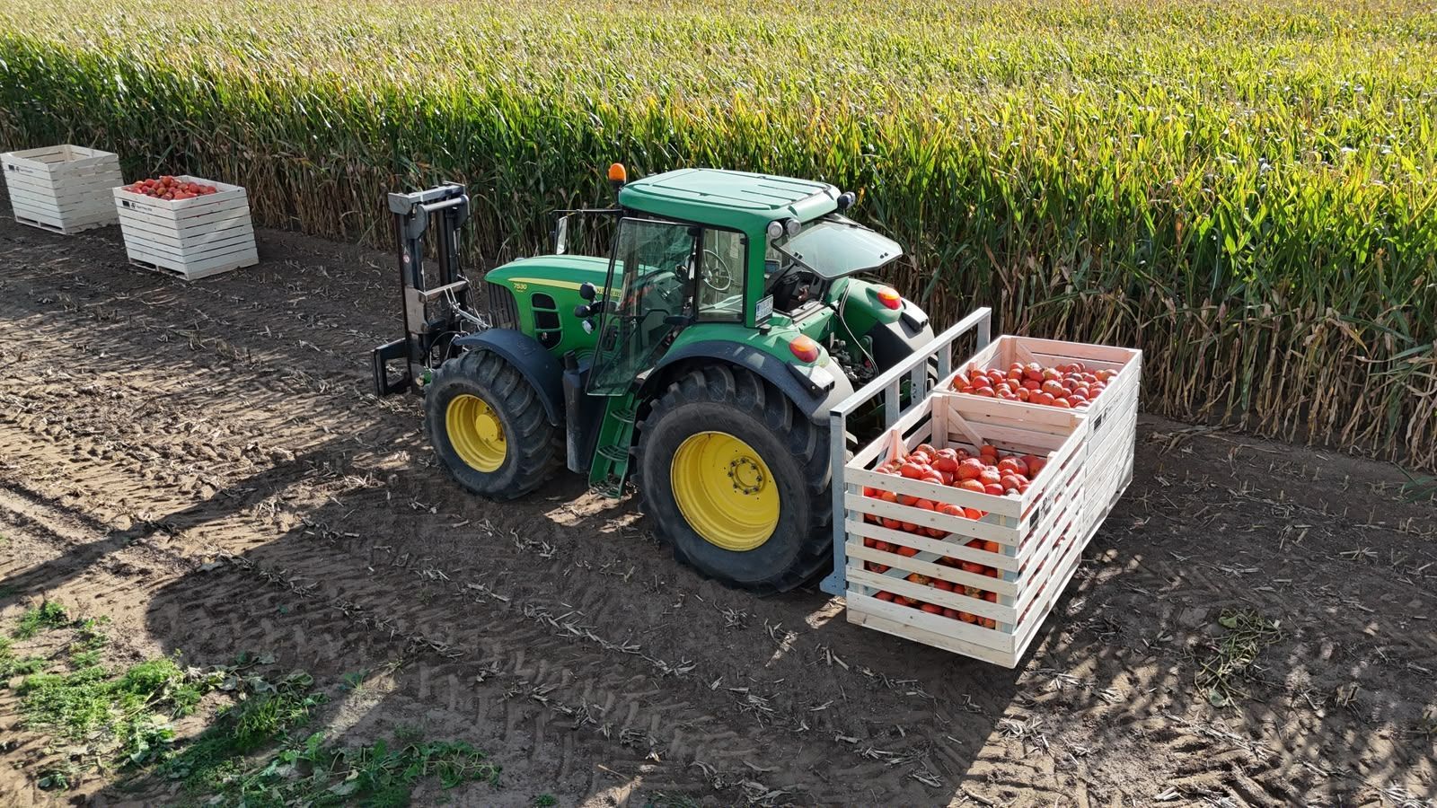 Hegro PH04 – Getrokken pompoenoogstmachine met handmatige selectie