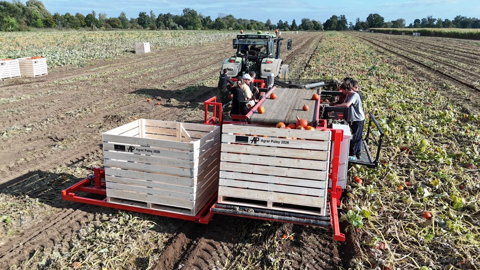 Hegro PH04 – Getrokken pompoenoogstmachine met handmatige selectie