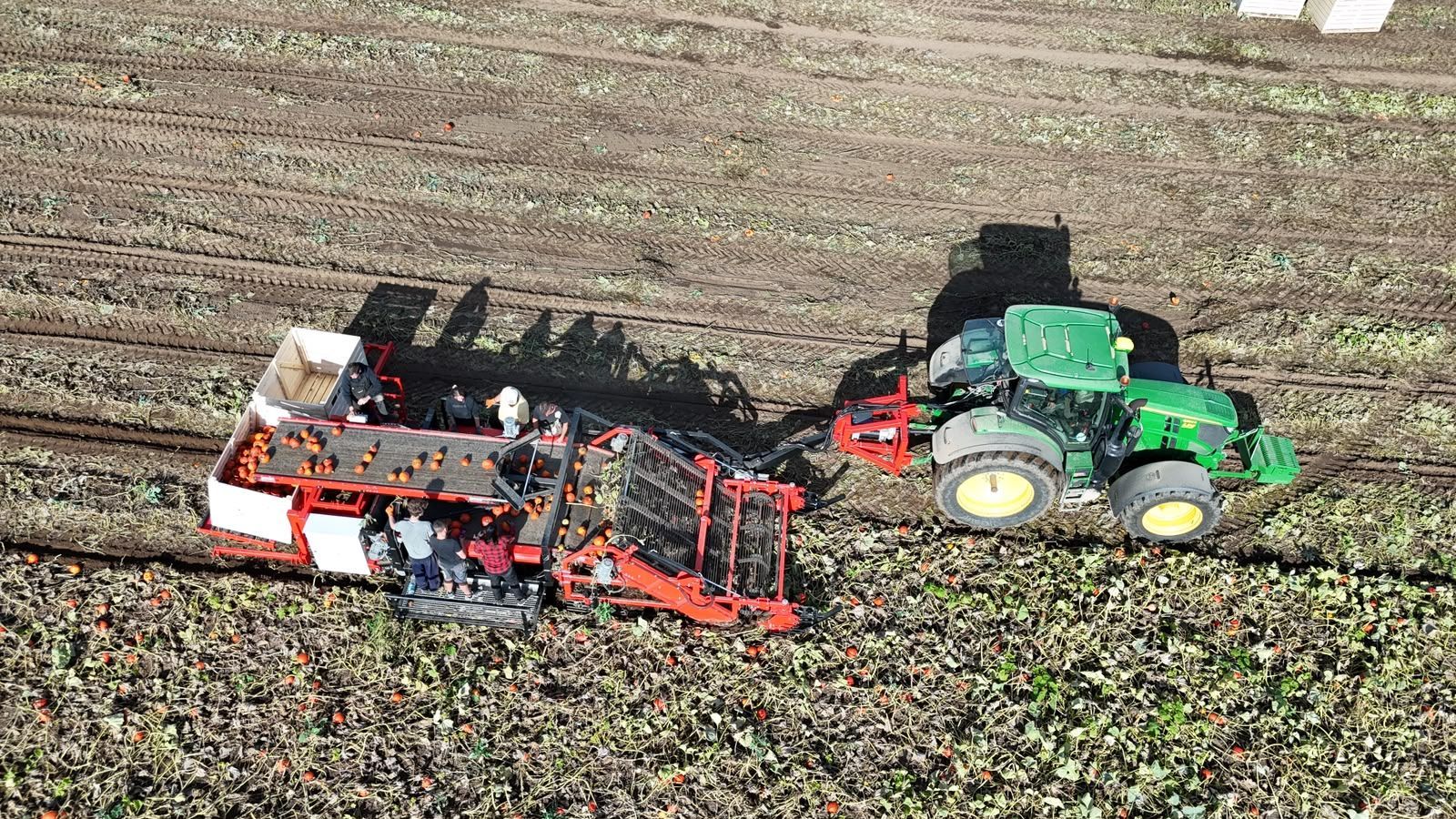 Hegro PH04 – Getrokken pompoenoogstmachine met handmatige selectie