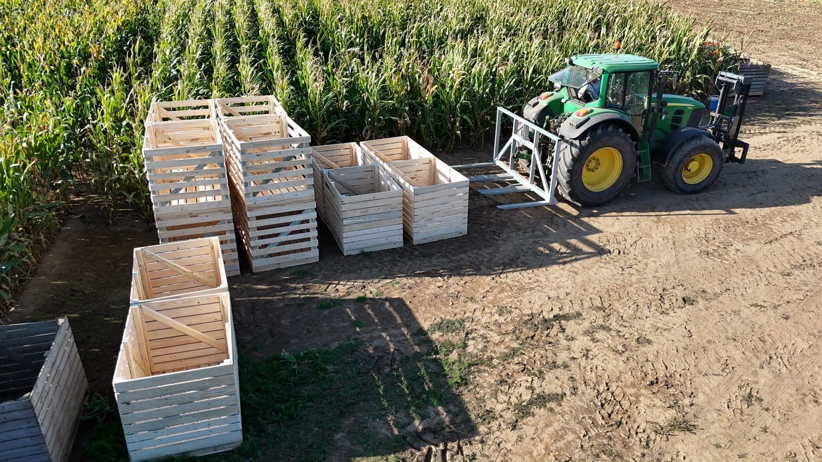 Hegro PH04 – Getrokken pompoenoogstmachine met handmatige selectie