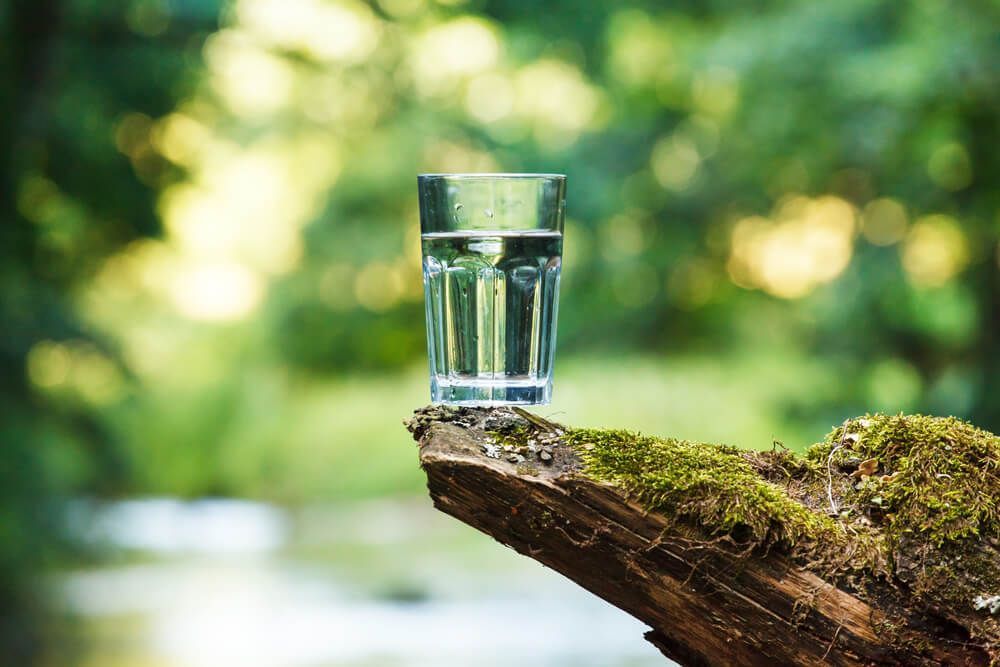 Water Glass Resting on Moss-Covered Log — Water Law in Wagga Wagga