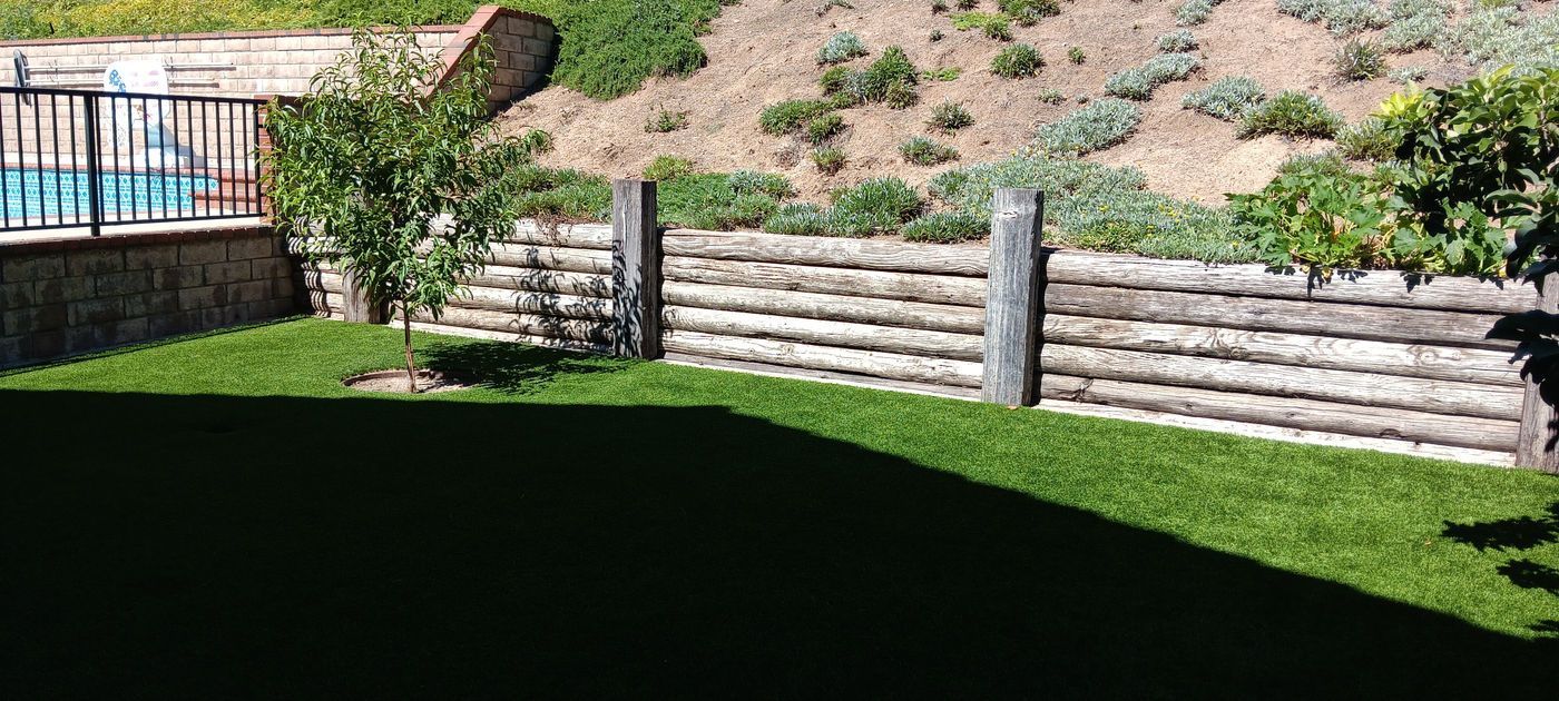 Manicured backyard lawn with a stone retaining wall and shrubs in bright sunlight
