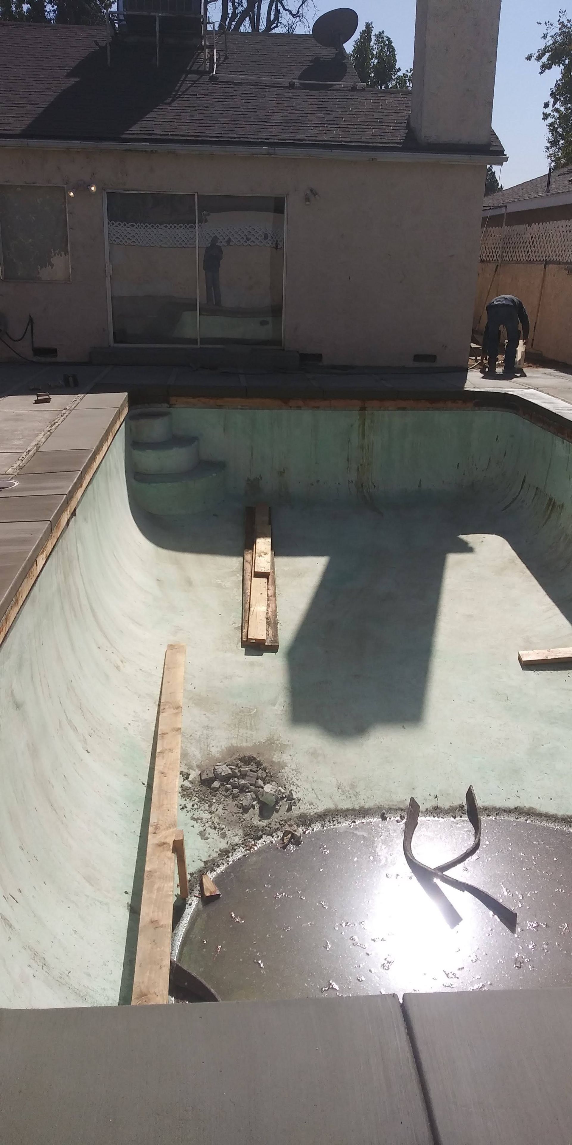 Empty drained swimming pool in sunlight, with a small animal near the far wall.