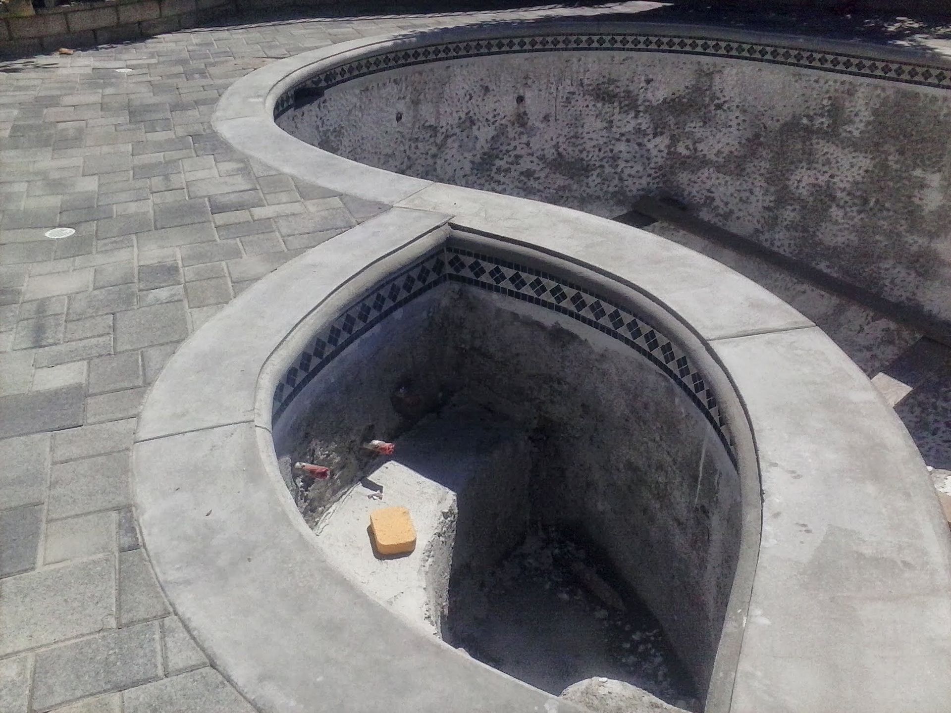 Empty stone swimming pool with curved edges and a small object on the floor