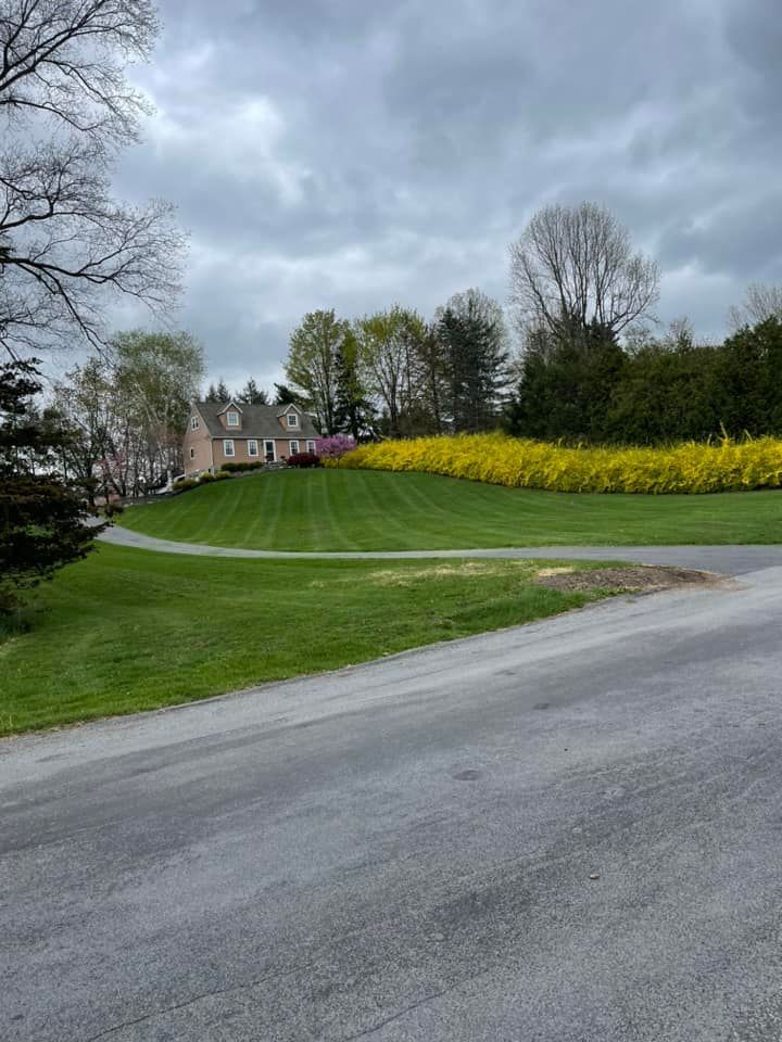 Grassy hillside with a winding path, yellow flower bed, and houses under a cloudy sky